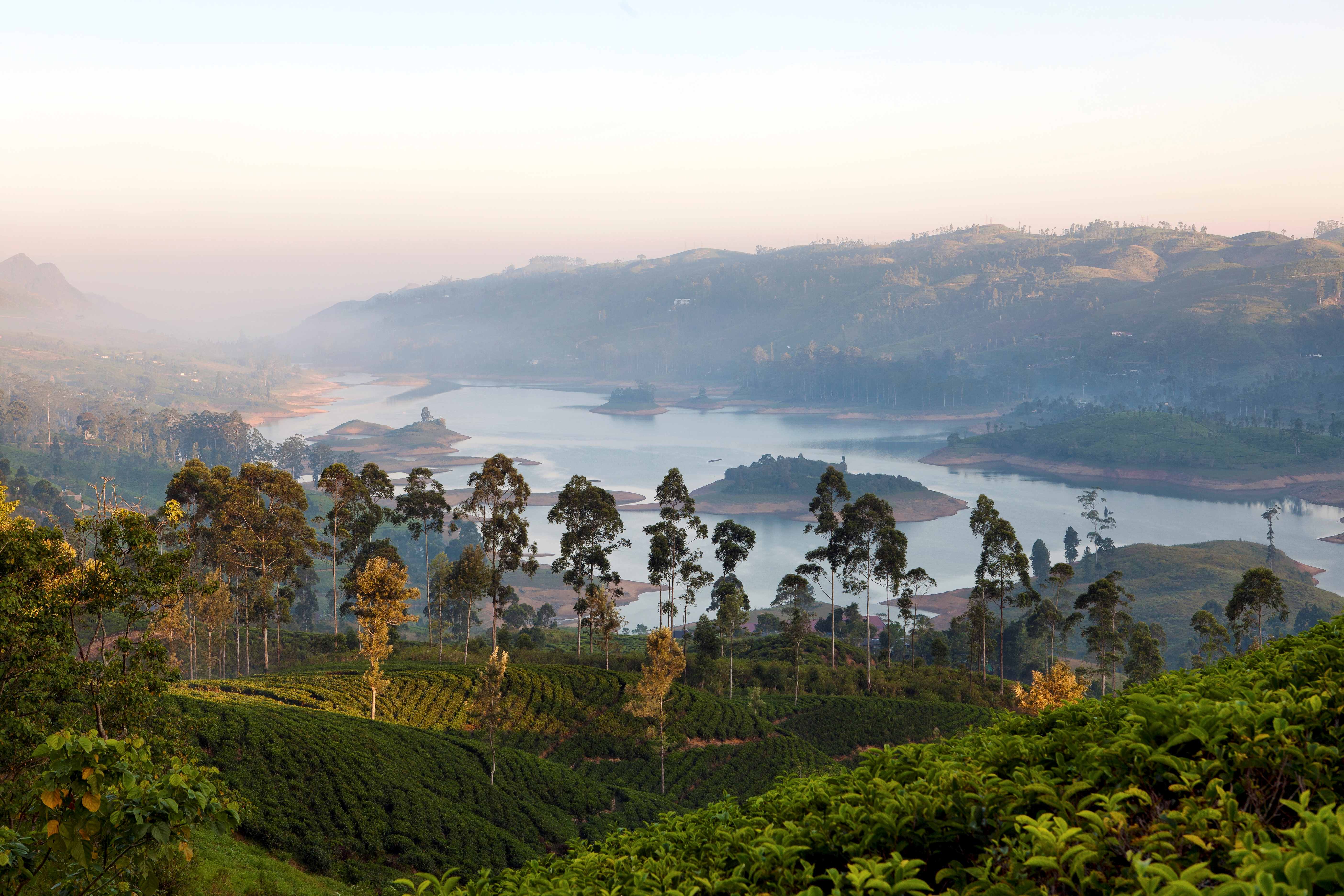 Khám phá vương quốc trà tươi tại Sri Lanka